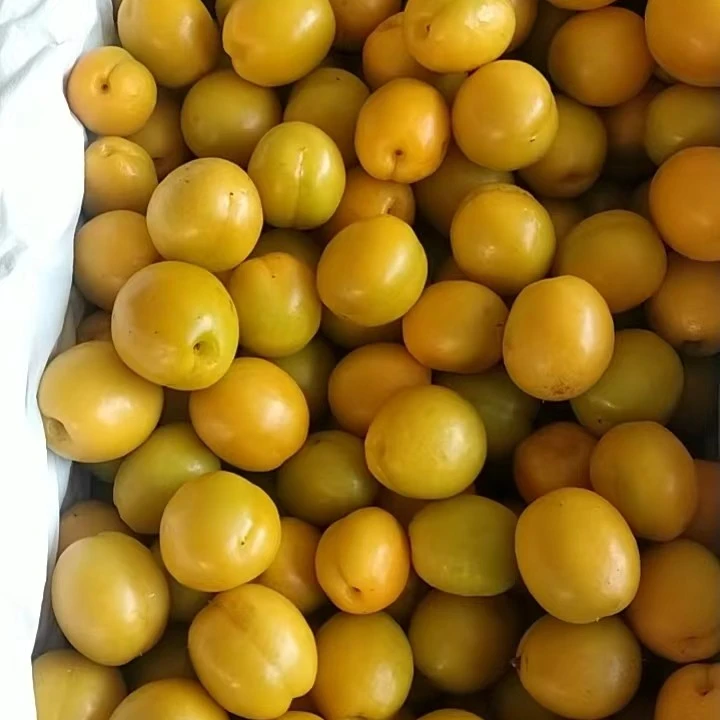 极品珍珠油杏酸甜（份/三斤装）（仅限大同平城区云冈区可拍）