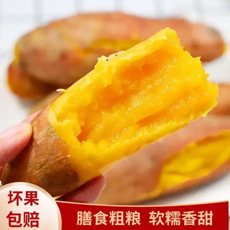 红薯龙九地瓜带箱5斤尝鲜装新鲜皮薄沙地板栗薯黄心薯坏单包赔！!