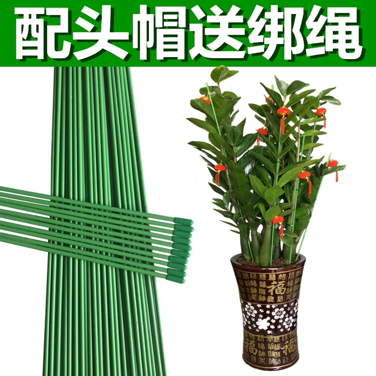 室内花架子金钱树绿萝蔬菜瓜果爬藤支架花卉植物支撑杆兰花固定架