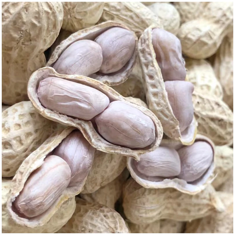 龙岩花生水煮白晒酥脆紫衣湿烤蒜香五香带壳花生坚果炒货闽西特产