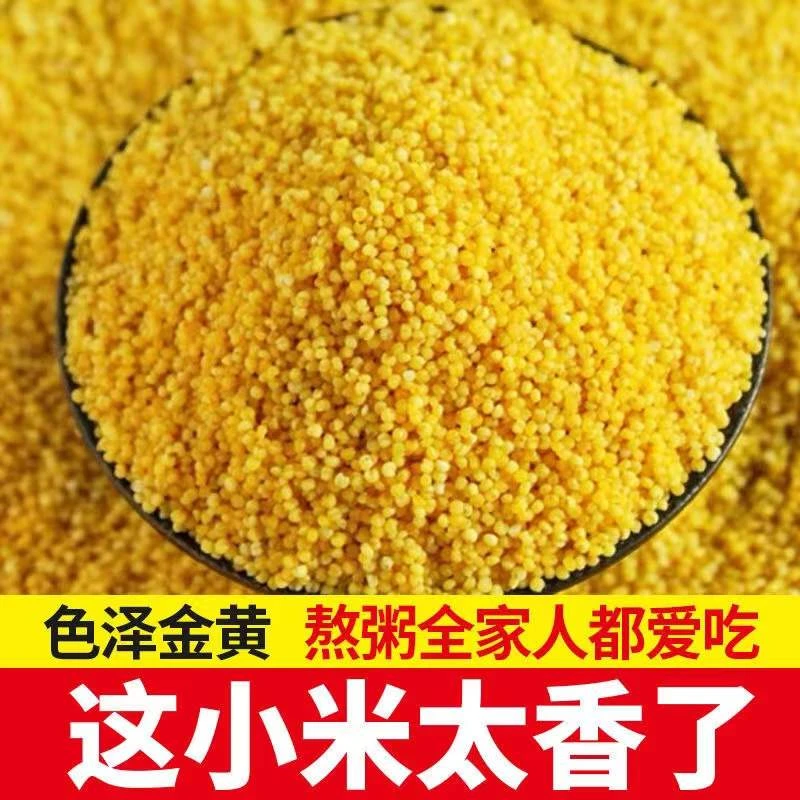 【新货/斤大袋】  东北黄小米新小米五谷杂粮煮粥饭农家小黄米新米