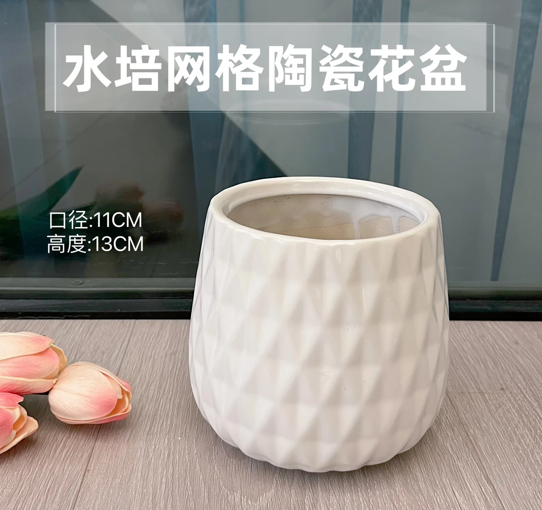 水培菠萝网格陶瓷花盆口径11高13陶瓷花盆创意摆件