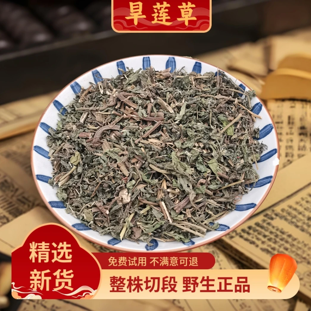 旱莲草正品墨旱莲旱连草新鲜乌心草另售女贞子熬制洗发