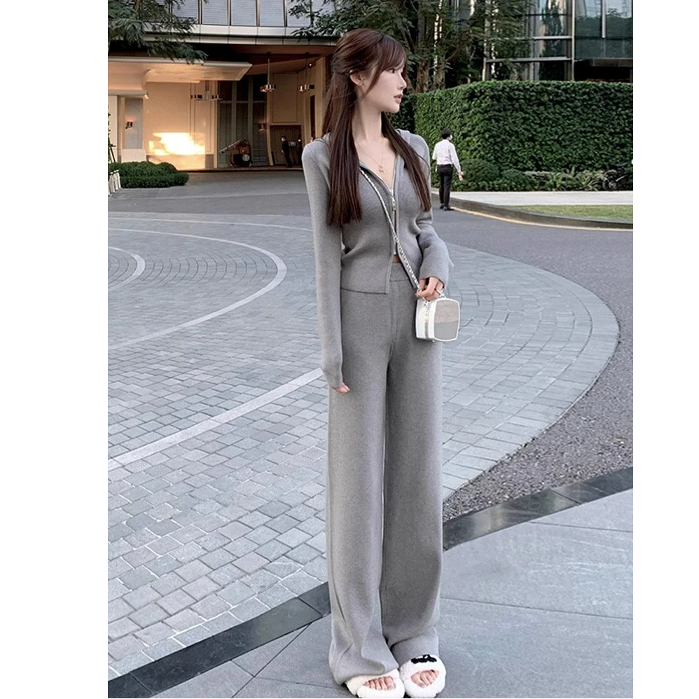 欧洲站休闲运动套装女秋冬季2024新款时尚洋气显瘦针织卫衣两件套