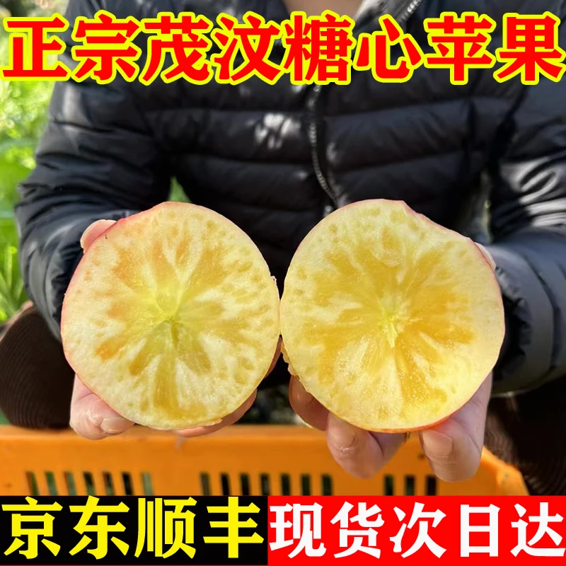 阿坝州苹果汶川高原糖心苹果茂县冰糖心丑苹果小金理县九寨沟川西