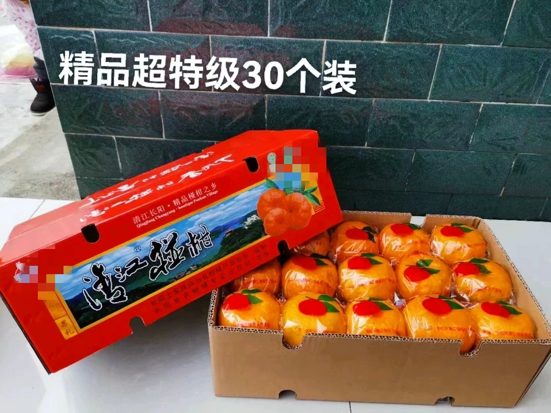 湖北宜昌椪柑正宗清江岩松坪椪柑原产地直销假一赔十橘子现摘现发