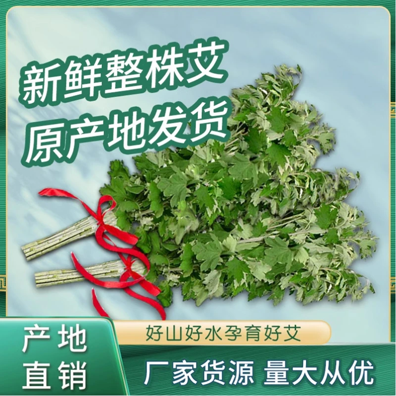 【神农仙草】艾叶艾草新鲜艾草端午艾洗澡泡脚鲜家用艾绒艾条通用