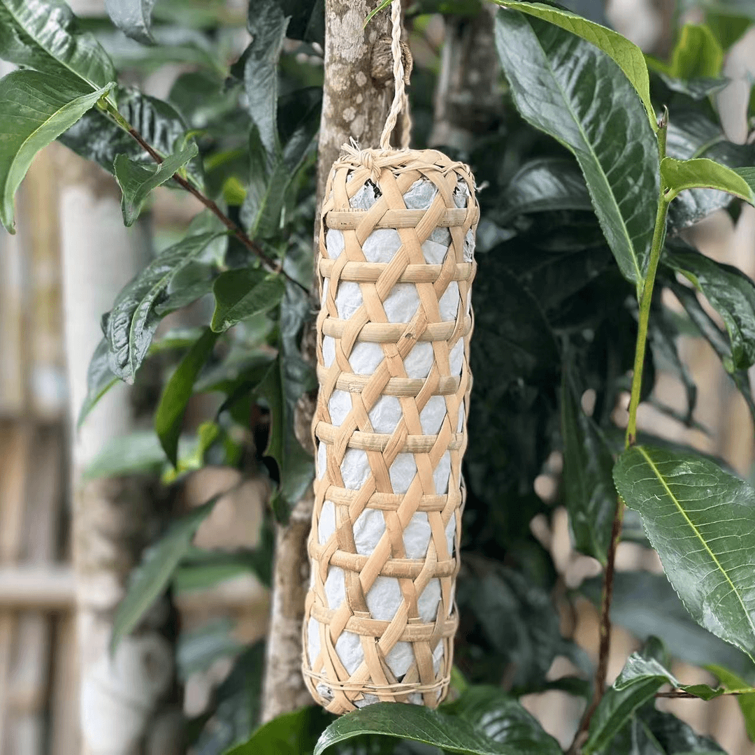 【冰岛·糖果茶】 2019年 普洱【生茶】300克 【大眼收好茶】靠谱姐