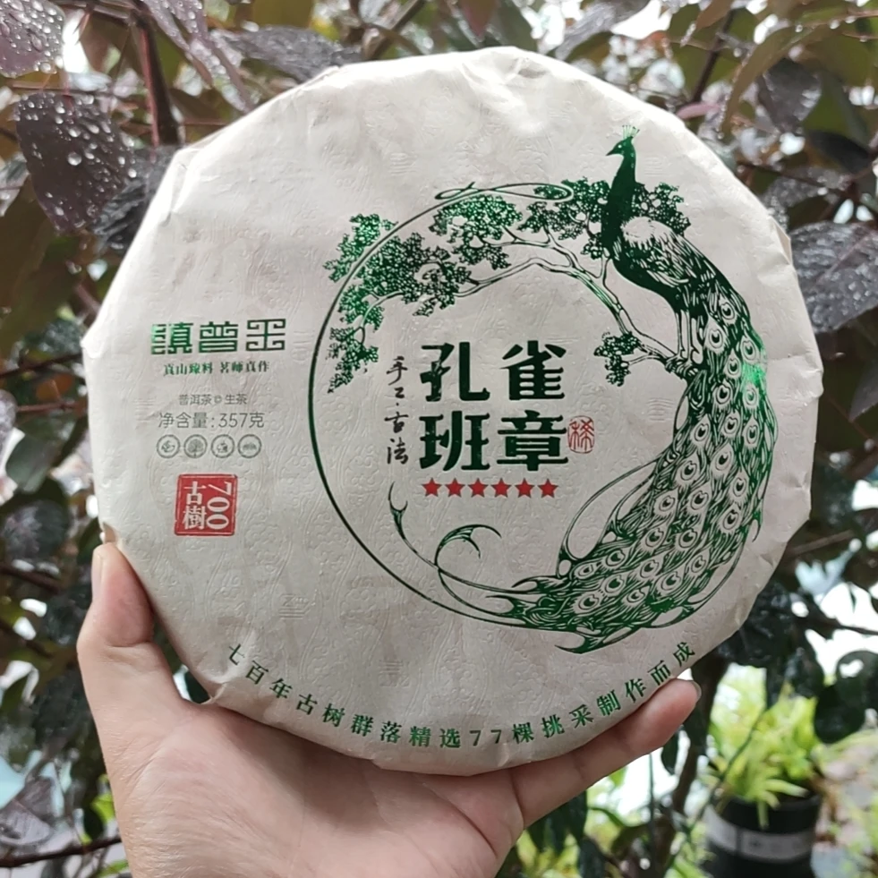 【孔雀班章】2023年 普洱【生茶】357g【大眼收好茶】性情姐