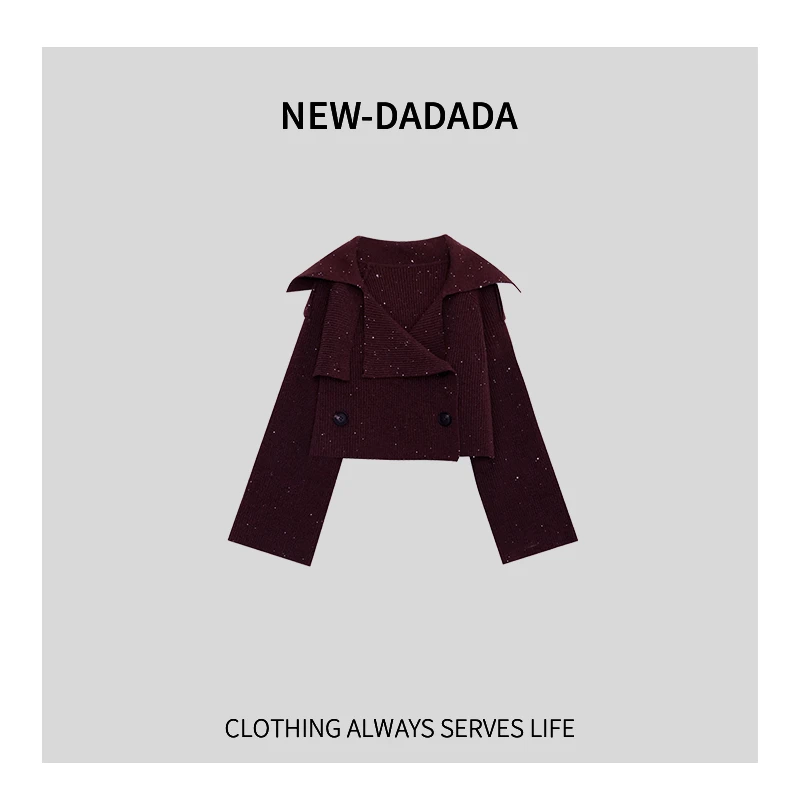 利达 NEW DADADA【秋日心事】高级感时尚百搭毛针织衫TQ725