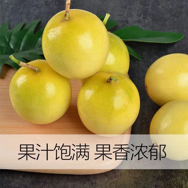 【新上市】【香甜可口】9号黄金百香果新鲜水果特大装大果农家果香浓