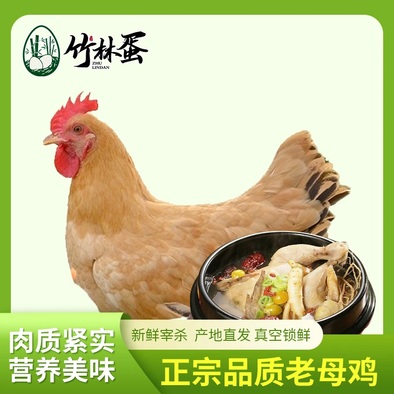 老母鸡2只每只净重2.5斤左右 冷冻保鲜 产地直发