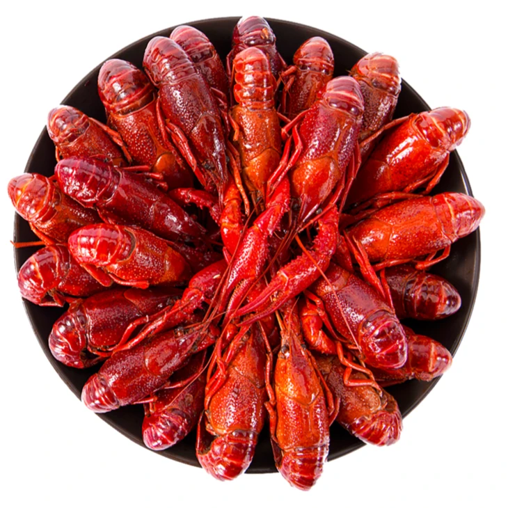 浪海情调味小龙虾活虾现做700g×4盒速冻锁鲜麻辣鲜香个头均匀