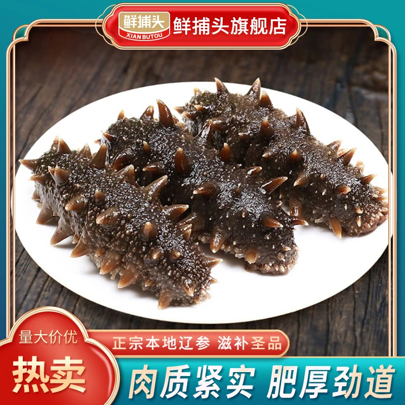 鲜捕头即食海参 营养滋补 口感劲道500g×1袋