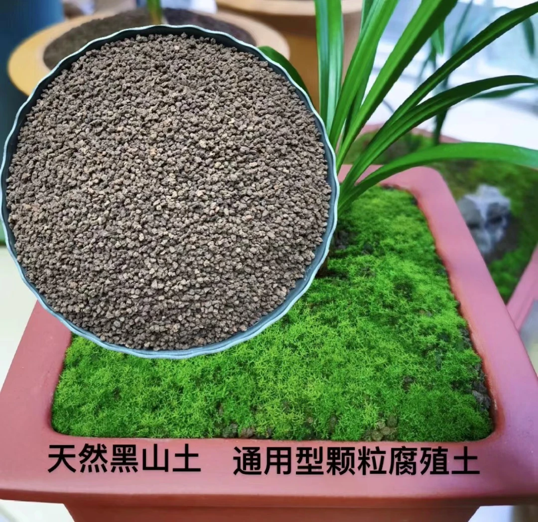 兰花专用铺面腐叶土精细颗粒护茎营养土