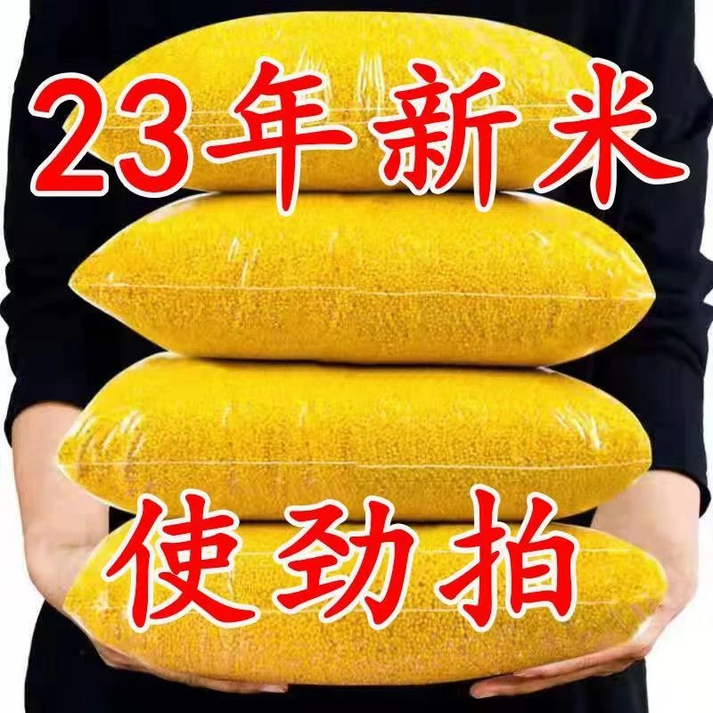 2023年当季新米赤峰黄小米营养米养胃熬粥油香糯黄婴幼儿米脂