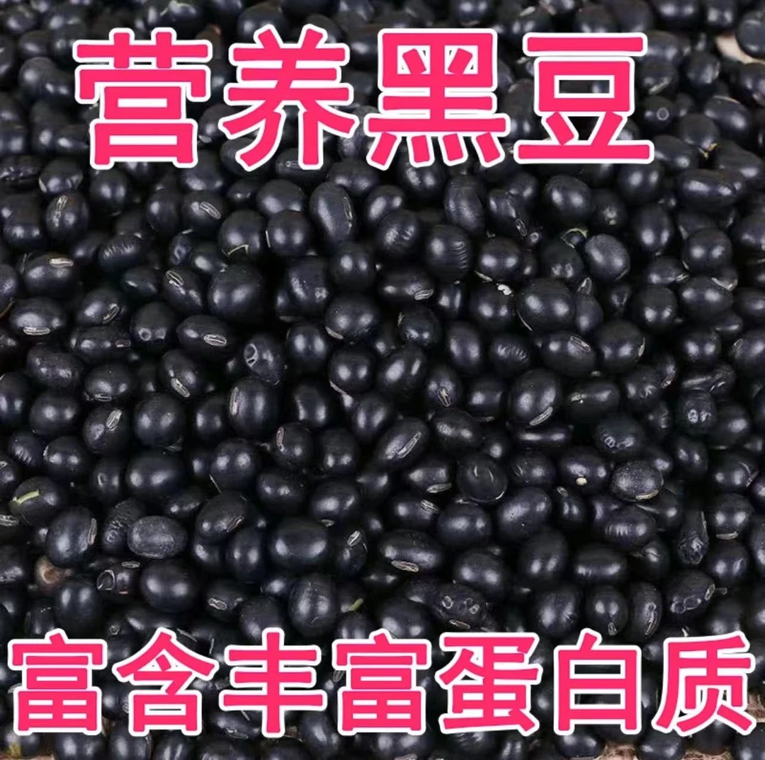 新黑豆5斤东北黑豆黑大豆黄芯黑豆批发大豆打豆浆专用半斤