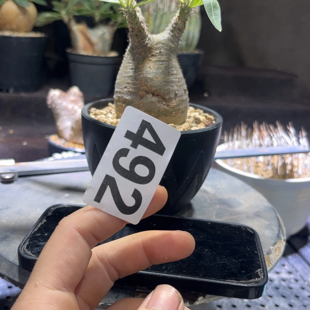 111111111111111111111