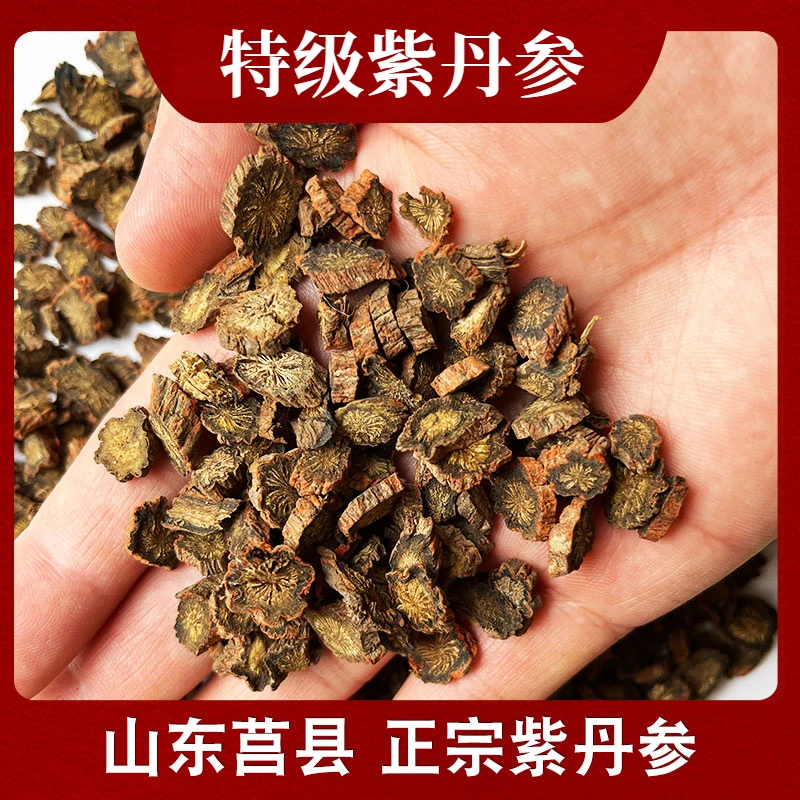 紫丹参 精选山东紫丹参当季新货可搭配枸杞泡水喝自然晾晒滋补品