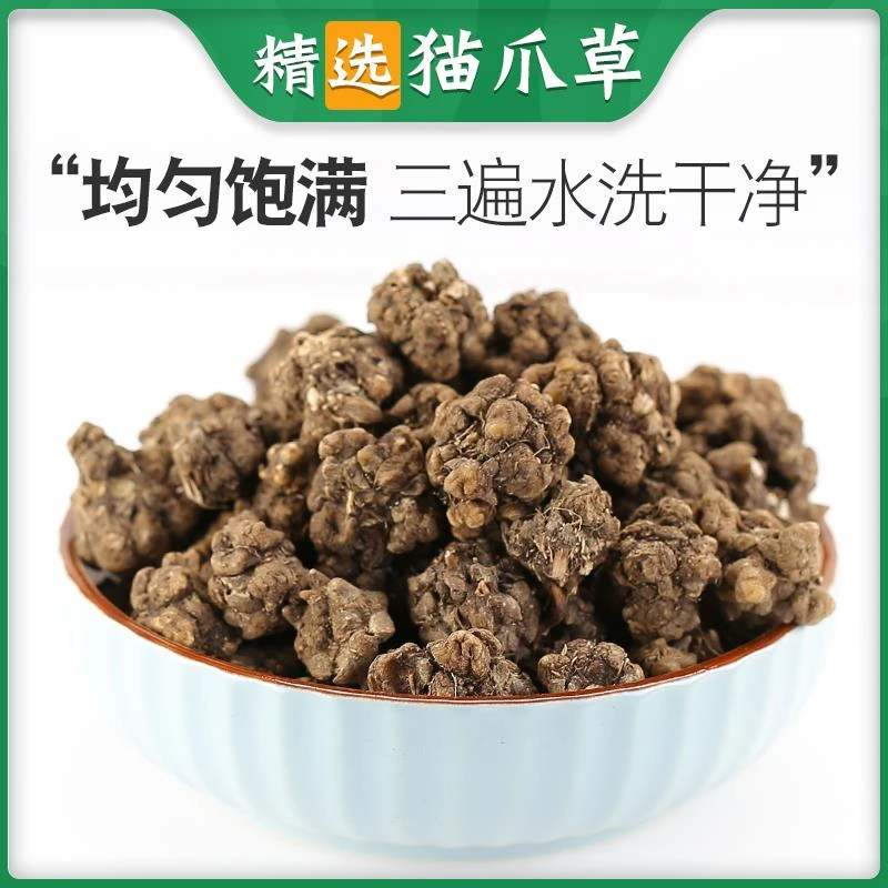 猫爪草 大别山高品质无熏硫猫爪草三遍水洗泡水优质道地根茎类