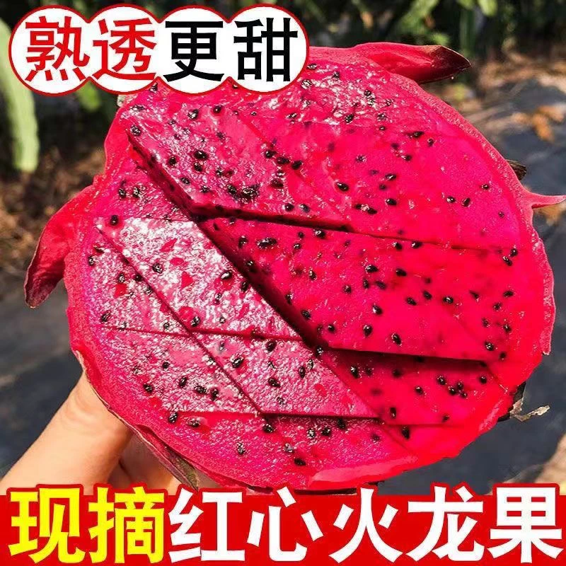 广西红心火龙果金都一号新鲜应季皮薄多汁精选品质3/5斤（坏包赔）