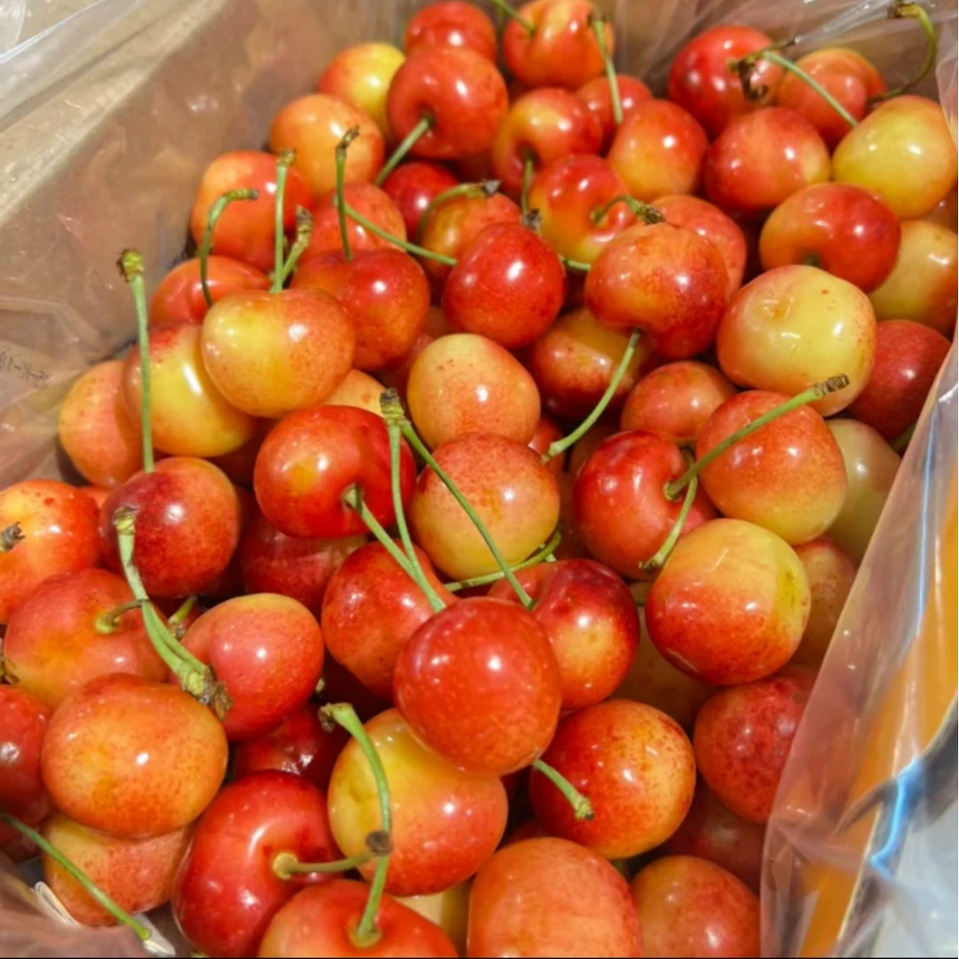 智利空运RAINIER雷尼尔 黄金车厘子JJ-JJJ/礼盒1-5斤装 顺丰空运