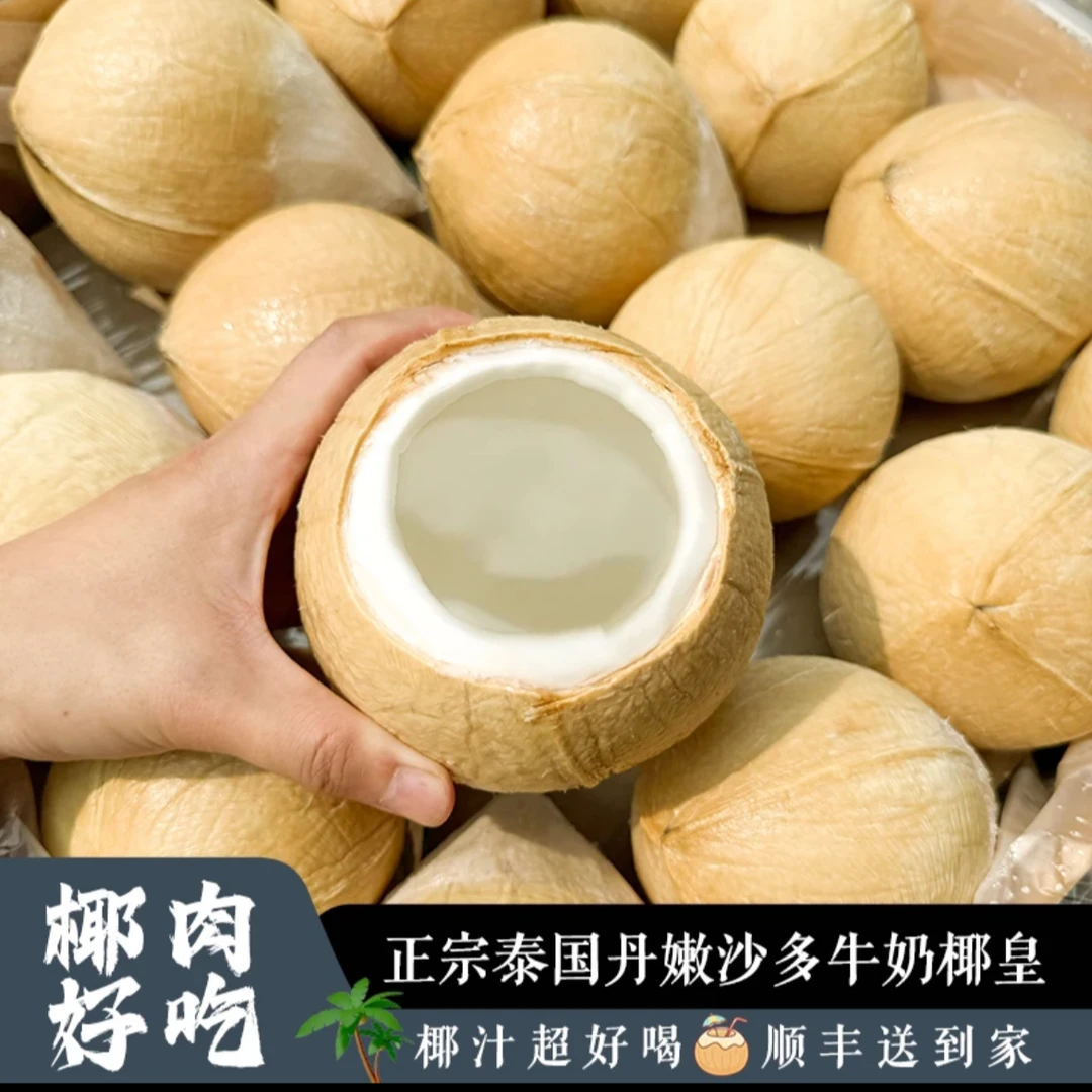 泰国丹嫩沙多椰皇/6-10颗装顺丰新鲜包邮品质孕妇椰子泰国椰青