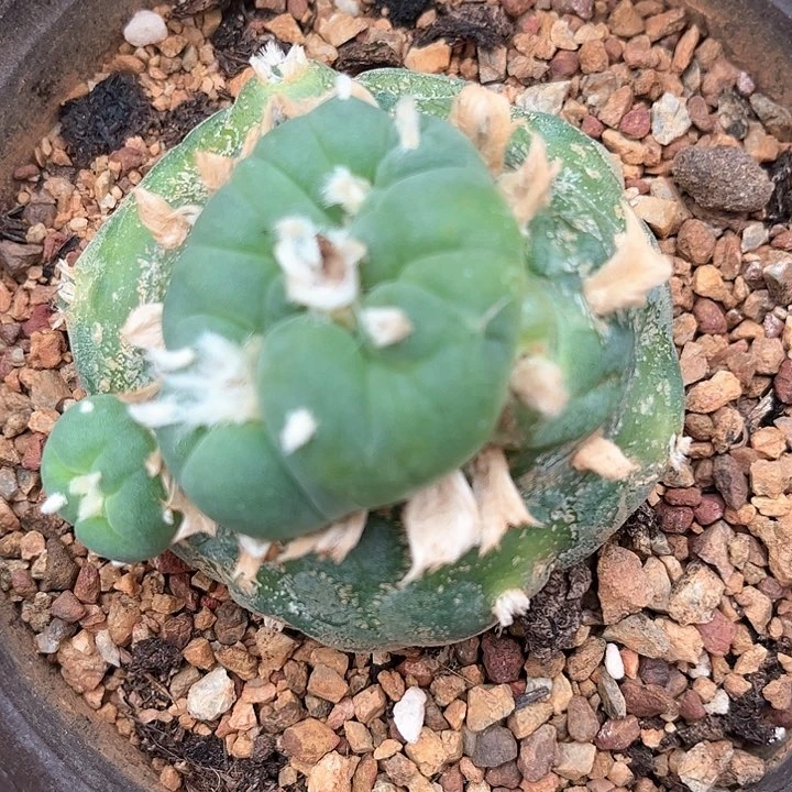 听说听说听说听说