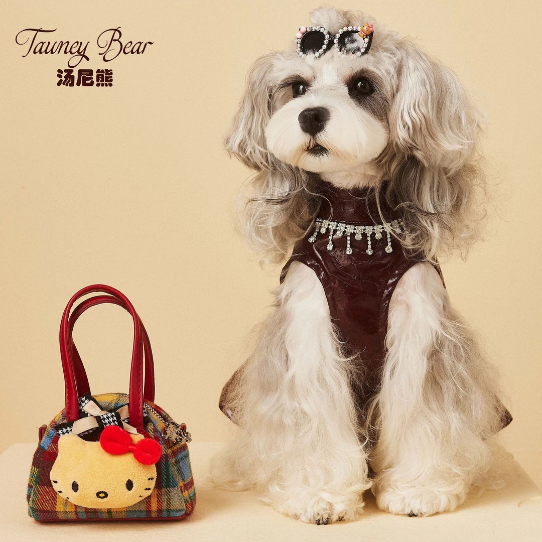 汤尼熊母狗狗衣服秋款无袖皮裙马尔济斯约克夏雪纳瑞泰迪博美裙子