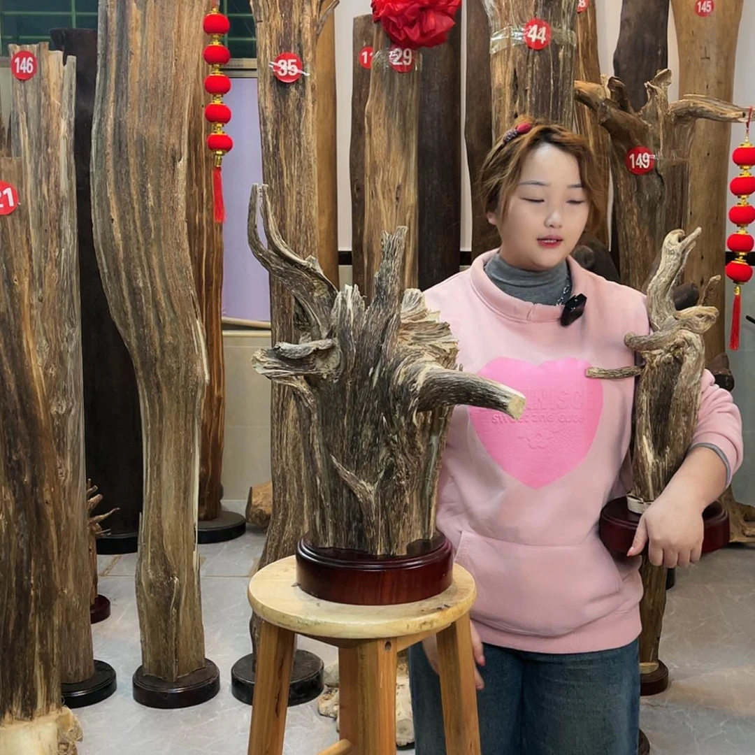 【闪购商品】香道类顺****兵