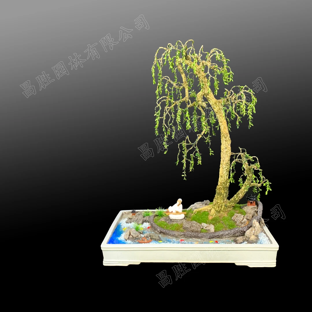 【333号】垂柳式造型黄杨盆景水旱造景岭南截干蓄枝骨架室内外可养