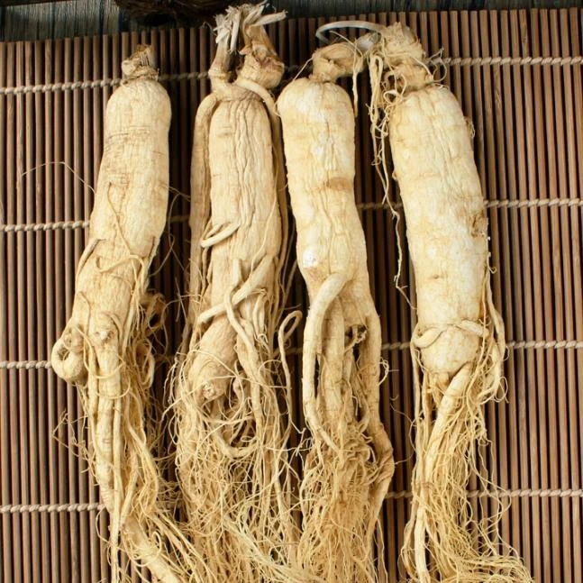 8年  人参 煲汤泡酒泡水    1斤装  老年人食用营养饱满