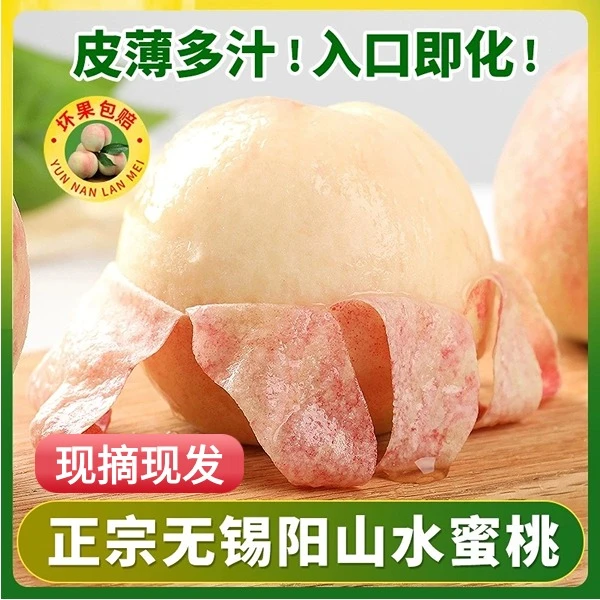 【6-7两湖景桃王】正宗阳山水蜜桃新鲜香甜爆汁软果礼盒装原产地