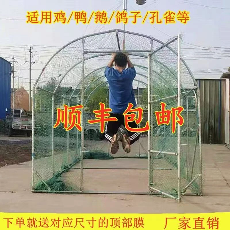 养鸡棚 大型养殖鸡笼大棚家禽鸡舍鸡屋防雨屋顶户外 鸽子钢管搭建