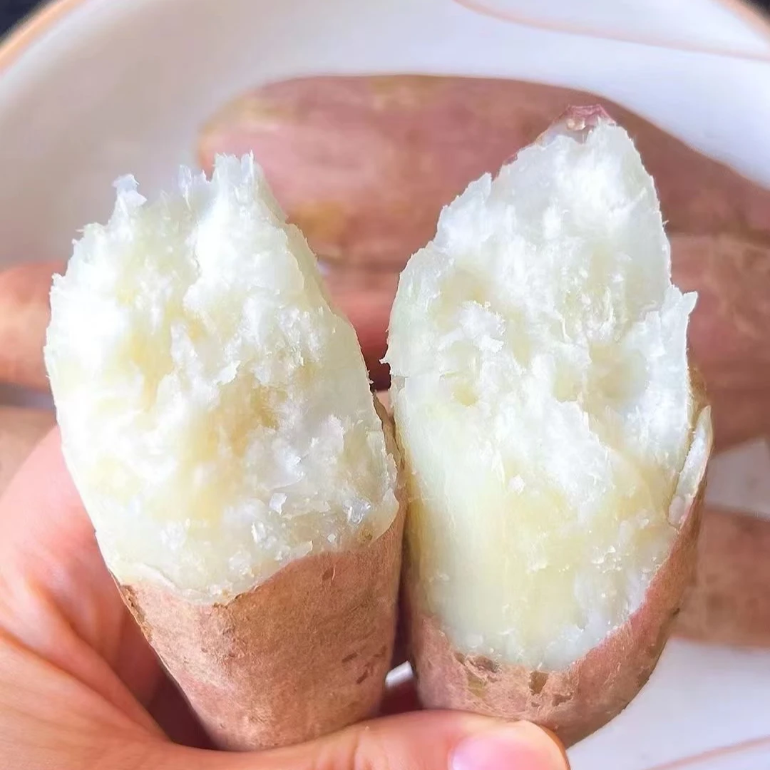 新鲜哈密冰糖薯红土地白薯糖心蜜薯红薯红皮地瓜山芋汝阳水果红薯