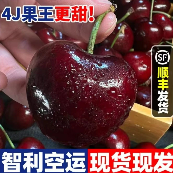 【顺丰特快】HD智利进口车厘子J-4J新鲜水果大樱桃当季整箱