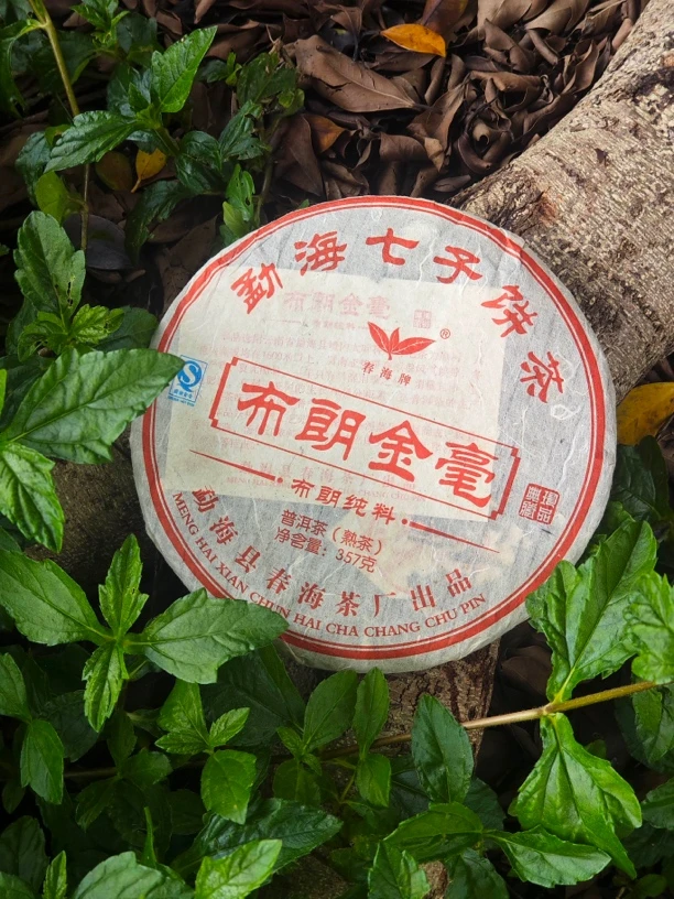 2009年  春海 布朗金毫 普洱熟茶  357g醇香柔滑