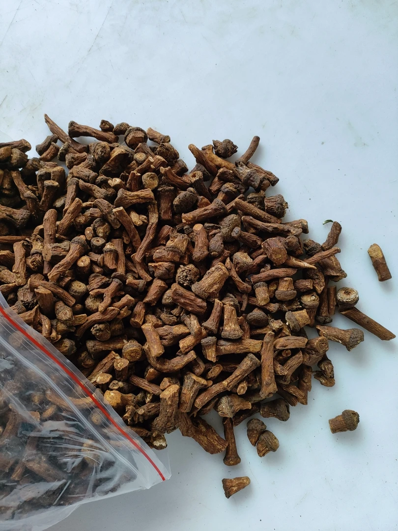 蒲公英根婆婆丁根干品