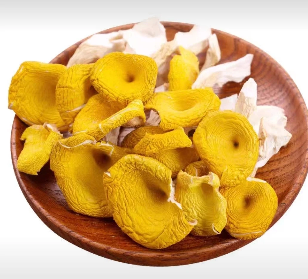 东北榆黄蘑干品（250—500克）包邮