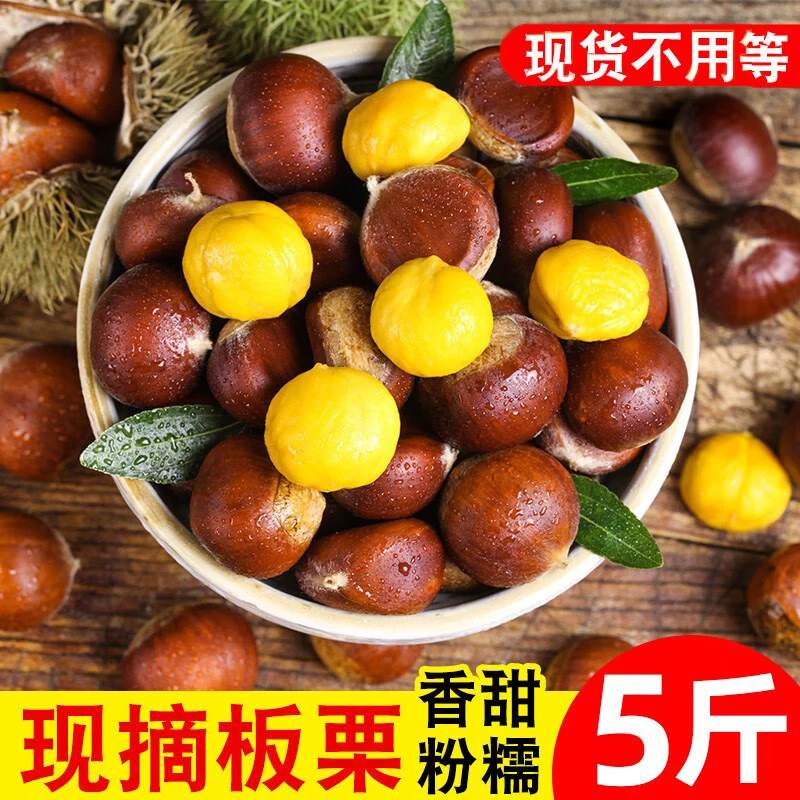 丹东板栗5斤农家现摘新鲜生栗正宗生油栗毛栗子板栗生板栗0.1-5斤