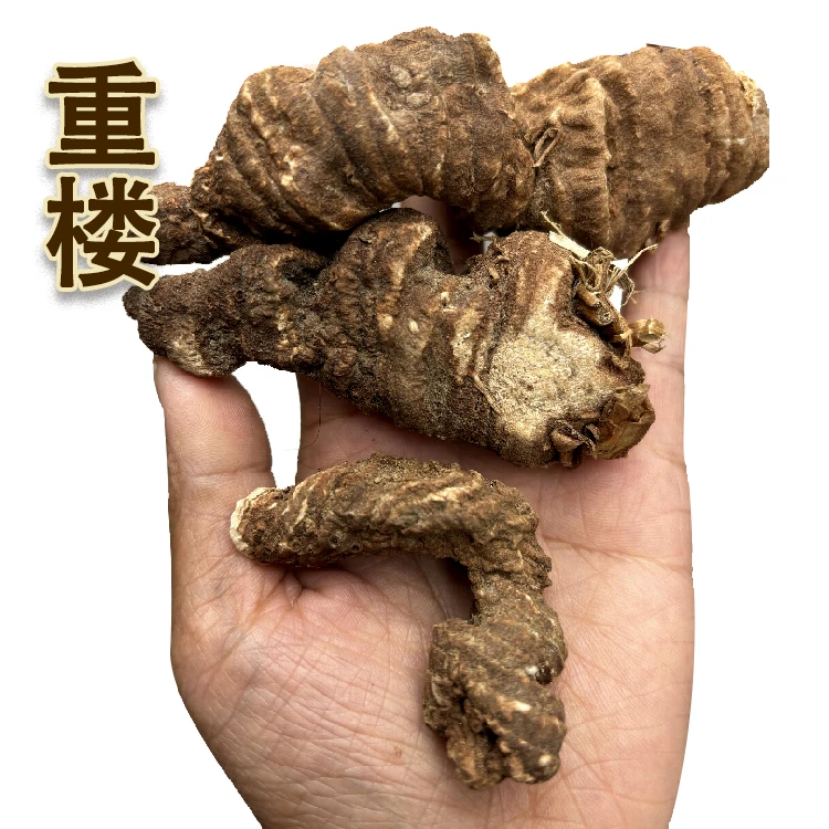 江西重楼根茎类蚤休  七叶一枝花干货大小都有50g