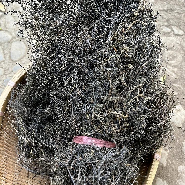 江西白花蛇舌草叶菜新鲜干货 龙舌草整株 250g1斤3斤