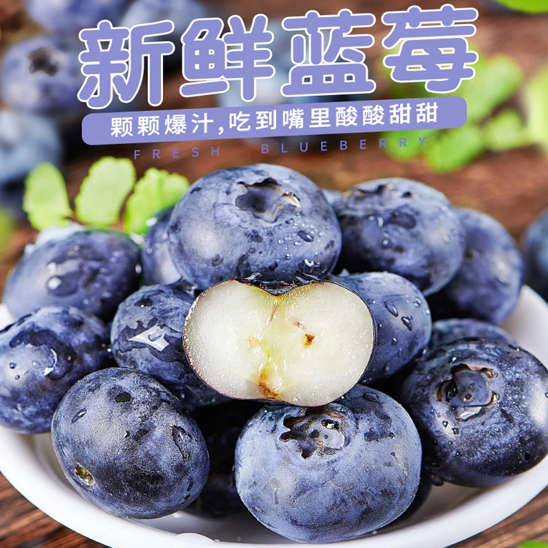 海之恋蓝莓 新鲜采摘 大果特大果农家果园