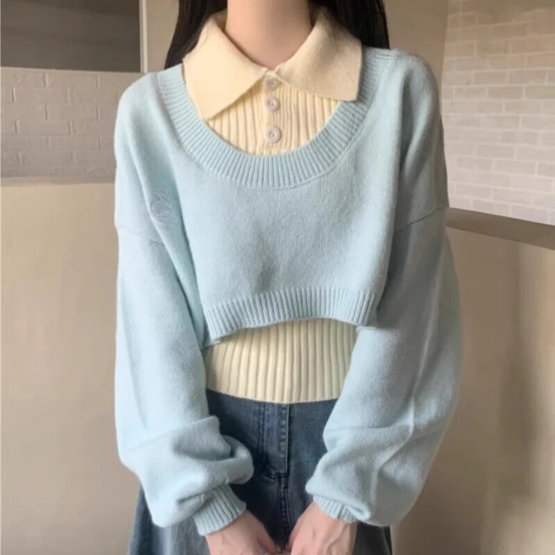 秋季2025年温柔蓝色秋冬毛衣女设计感高腰两件套针织衫长袖上衣