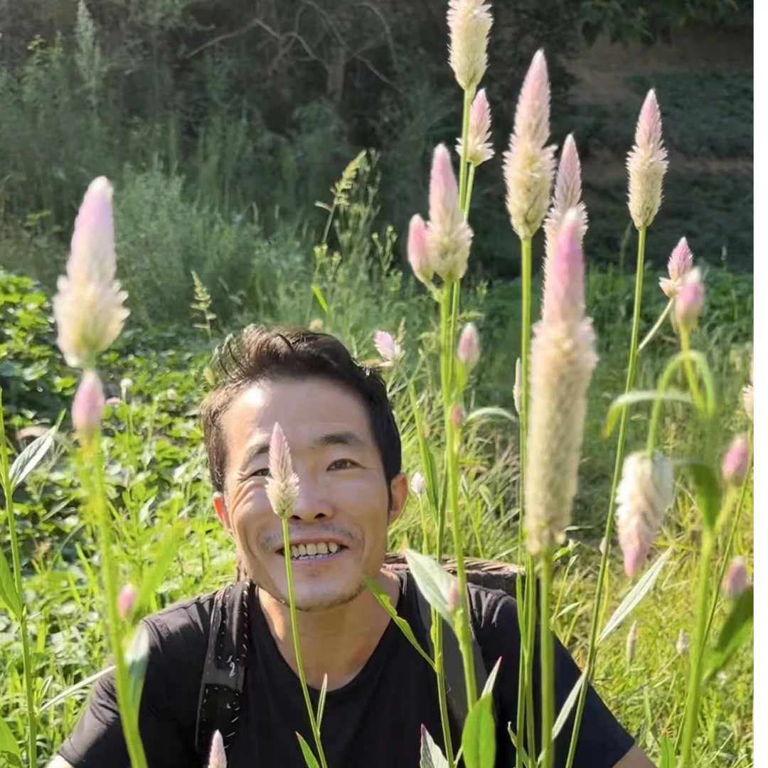 青葙子 野生青葙子 无熏硫青葙子