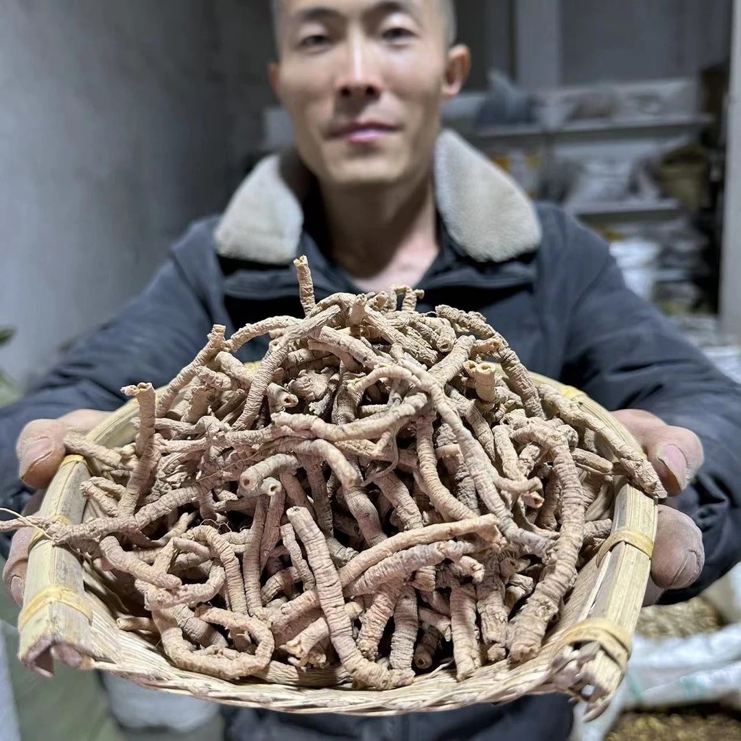 远志 甘肃野生远志 抽芯远志无硫大条100g