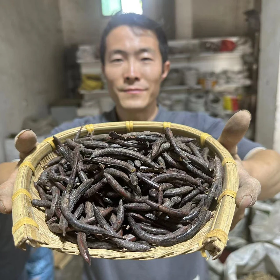 皂荚 甘肃皂角 猪牙皂荚 山里地里采摘的无硫皂角150g