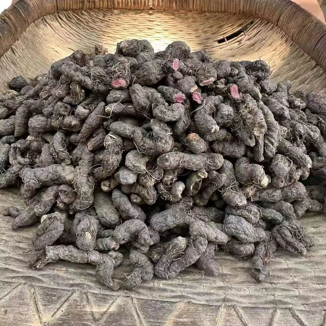 拳参 紫参 甘肃野生拳参 无硫拳参整根的未切片150g