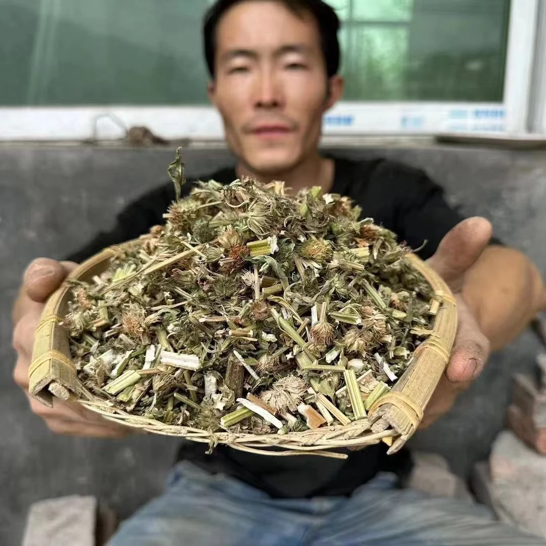 益母草 甘肃野生益母草 野外采割非种植无硫益母草 已切段150g