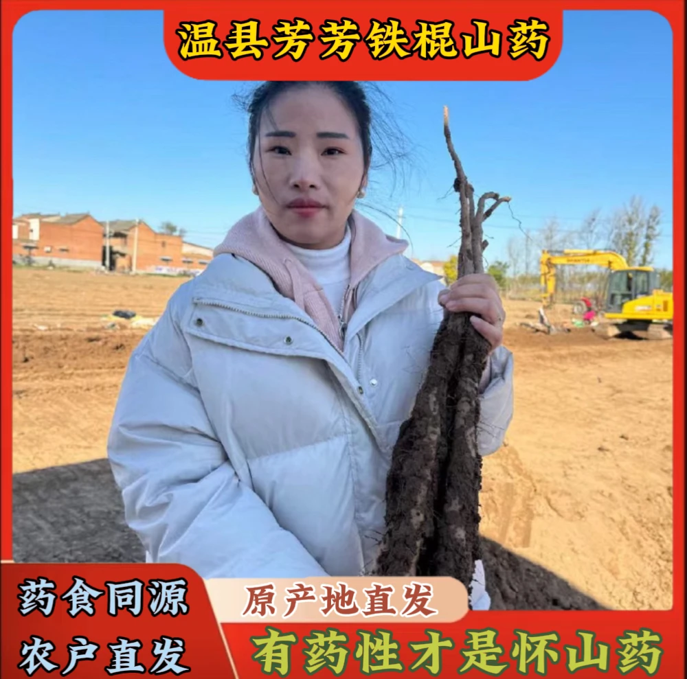 河南温县农家种植垆土铁棍山药净重3/5斤装农户整根发货